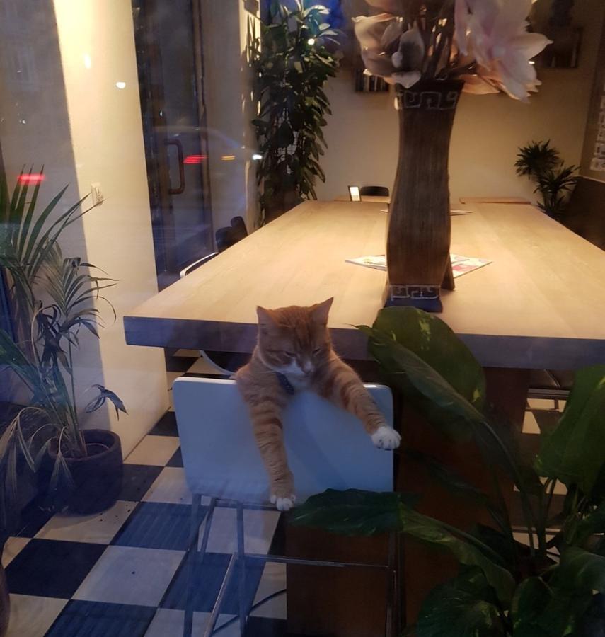 Hotel Mosaic City Centre Amsterdam Ngoại thất bức ảnh